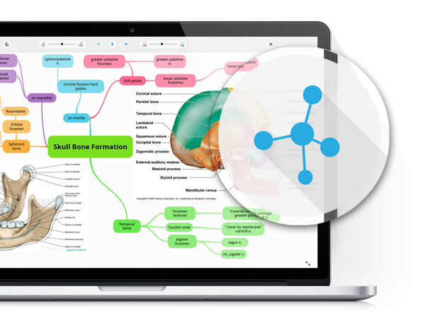 free mind mapping software 2016